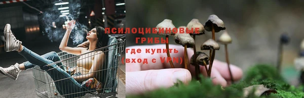 метамфетамин Богданович