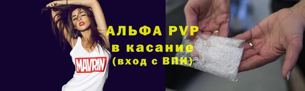 сатива Богородицк