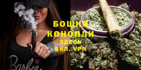 сатива Богородицк
