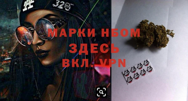 сатива Богородицк