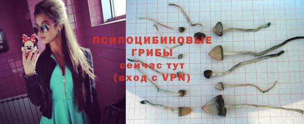 метамфетамин Богданович