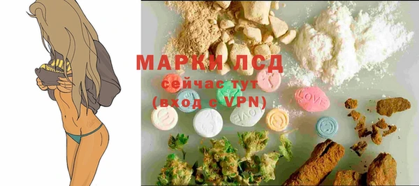 сатива Богородицк
