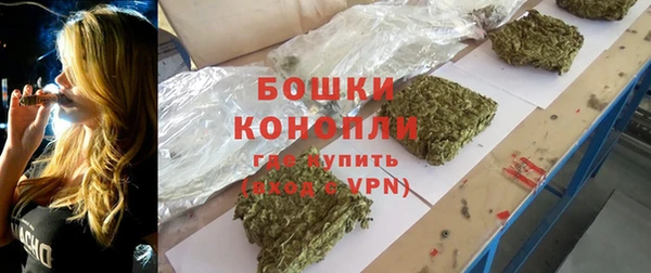 сатива Богородицк