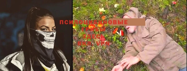 метамфетамин Богданович